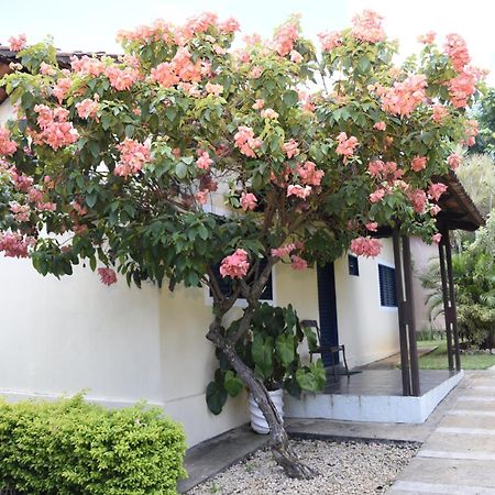 Rosa Spa E Pousada アパレシダ・デ・ゴイアニア エクステリア 写真